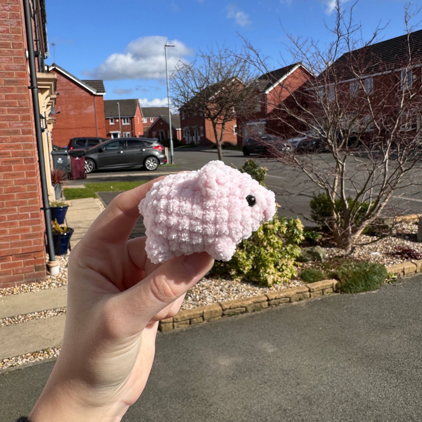 Crochet Mini Pig